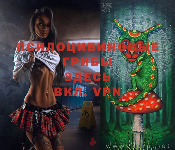 кокаин колумбия Алексин