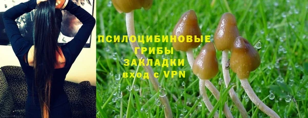 кокаин колумбия Алексин